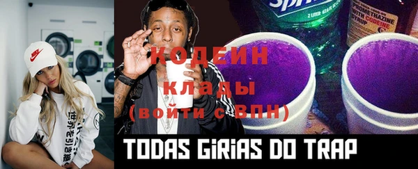 твердый Абаза