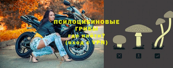 jwh Алзамай