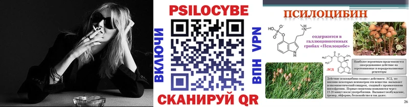 Галлюциногенные грибы Psilocybine cubensis  Барыш 